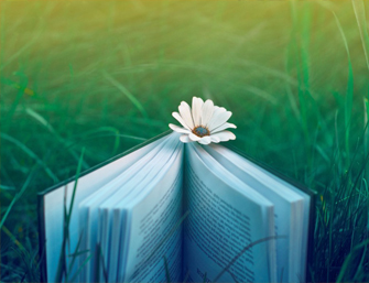 Vorträge & Bücher